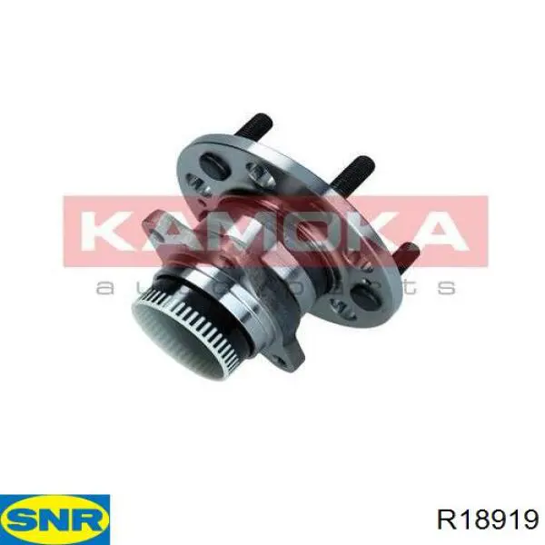 Compre R18919 SNR Cubo traseiro