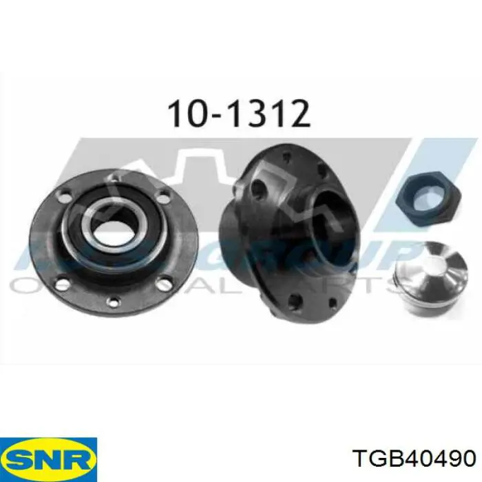 TGB40490 SNR Cubo traseiro