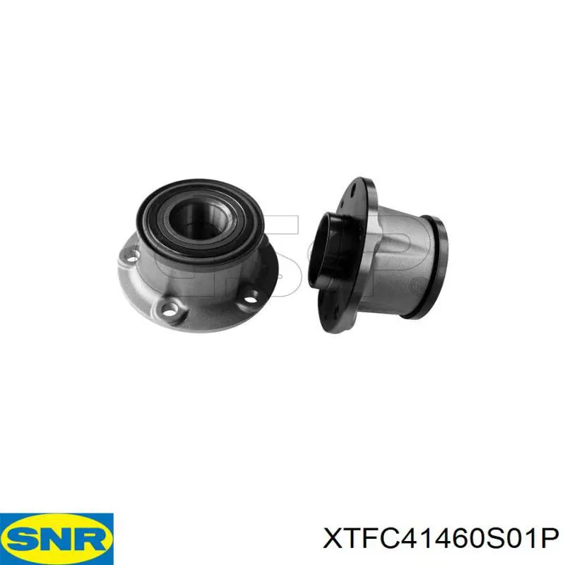 XTFC41460S01P SNR Cubo traseiro