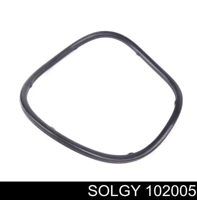 102005 Solgy Filtro de combustível