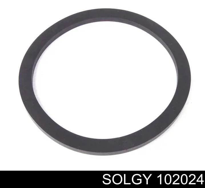 102024 Solgy Filtro de combustível