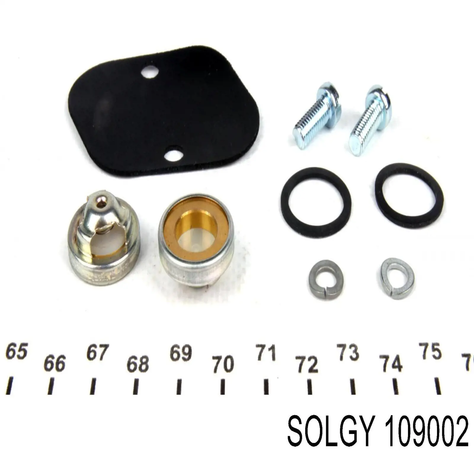 109002 Solgy Bomba a vácuo