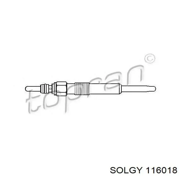 Compre 116018 Solgy Vela de incandescência