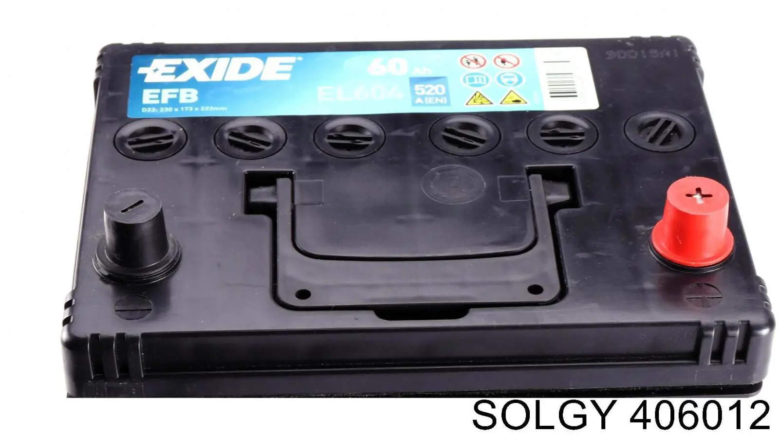 Compre 406012 Solgy Bateria recarregável (PILHA)