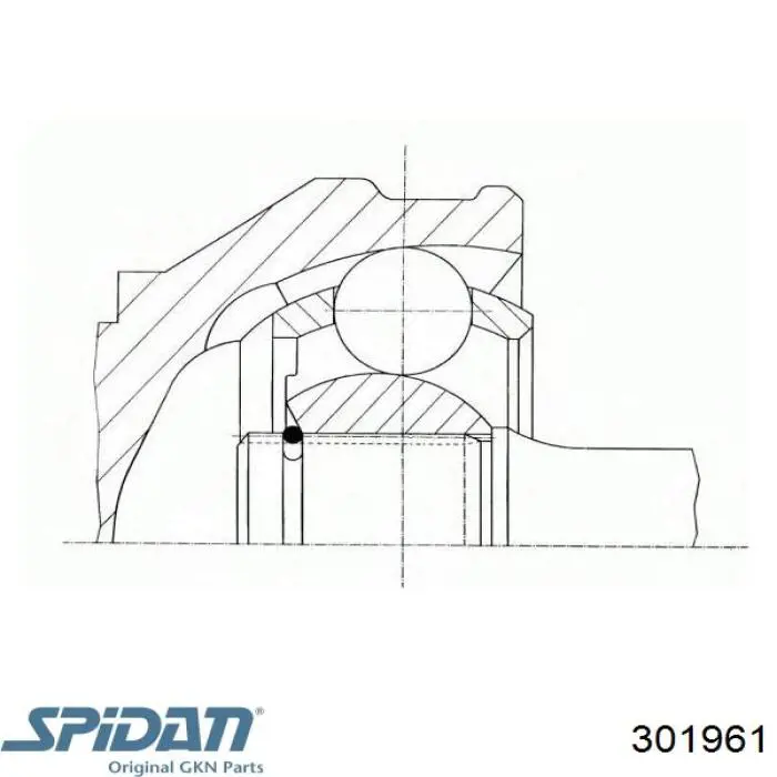  GKN-Spidan 301961
