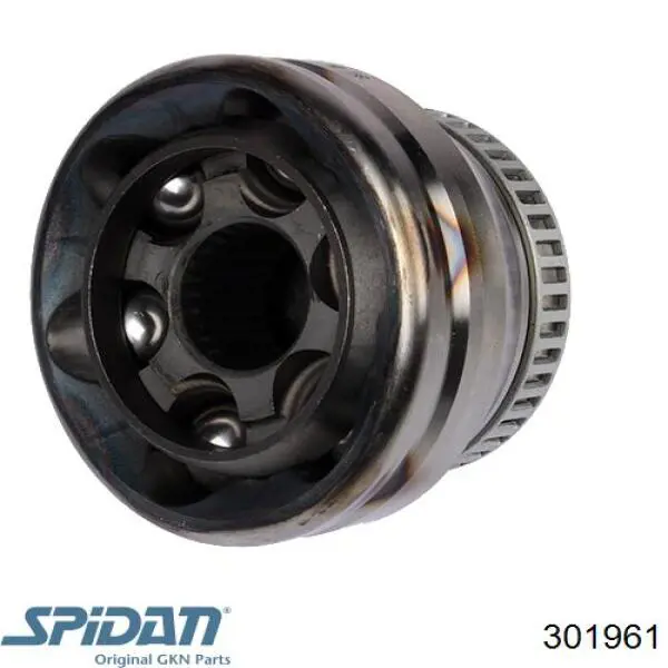 301961 GKN-Spidan Junta homocinética externa dianteira