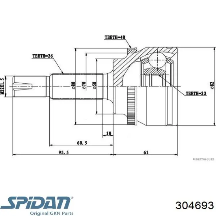 Junta homocinética externa dianteira GKN-Spidan 304693