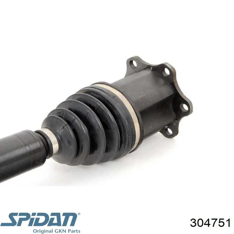  GKN-Spidan 304751