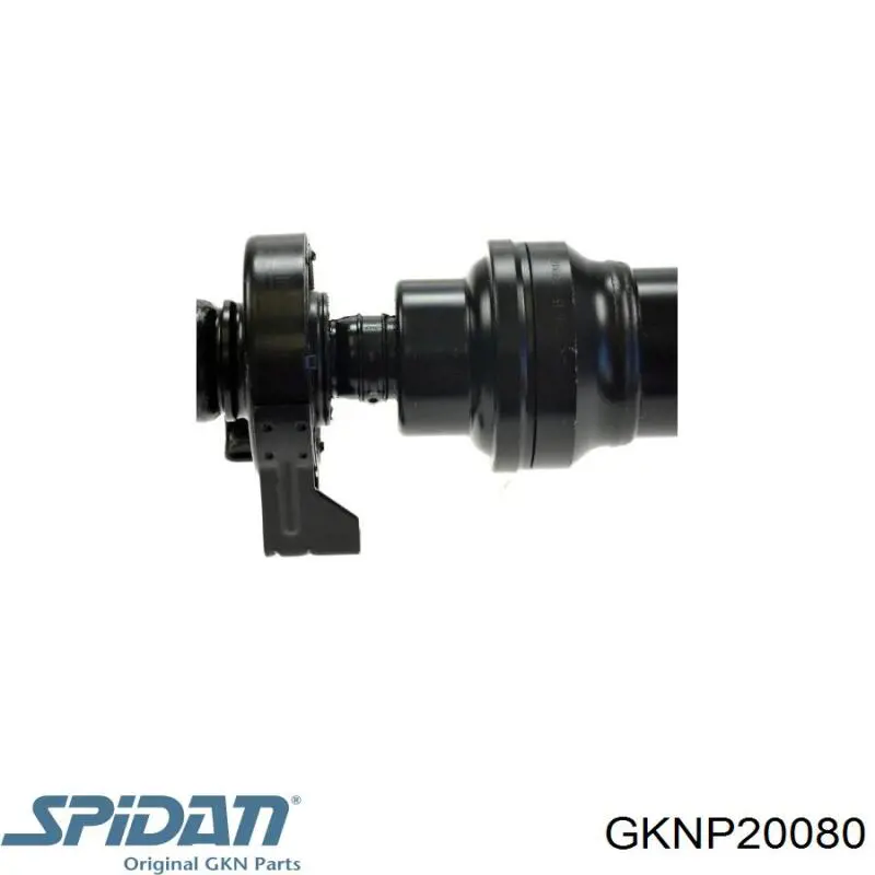 Junta universal traseira montada B10611 Borsehung