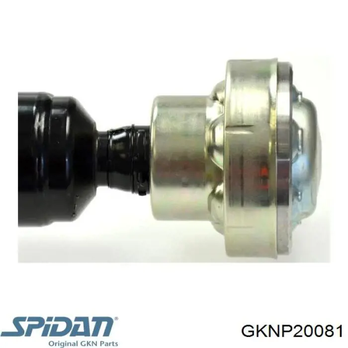 Compre 20081 GKN-Spidan Junta universal traseira montada