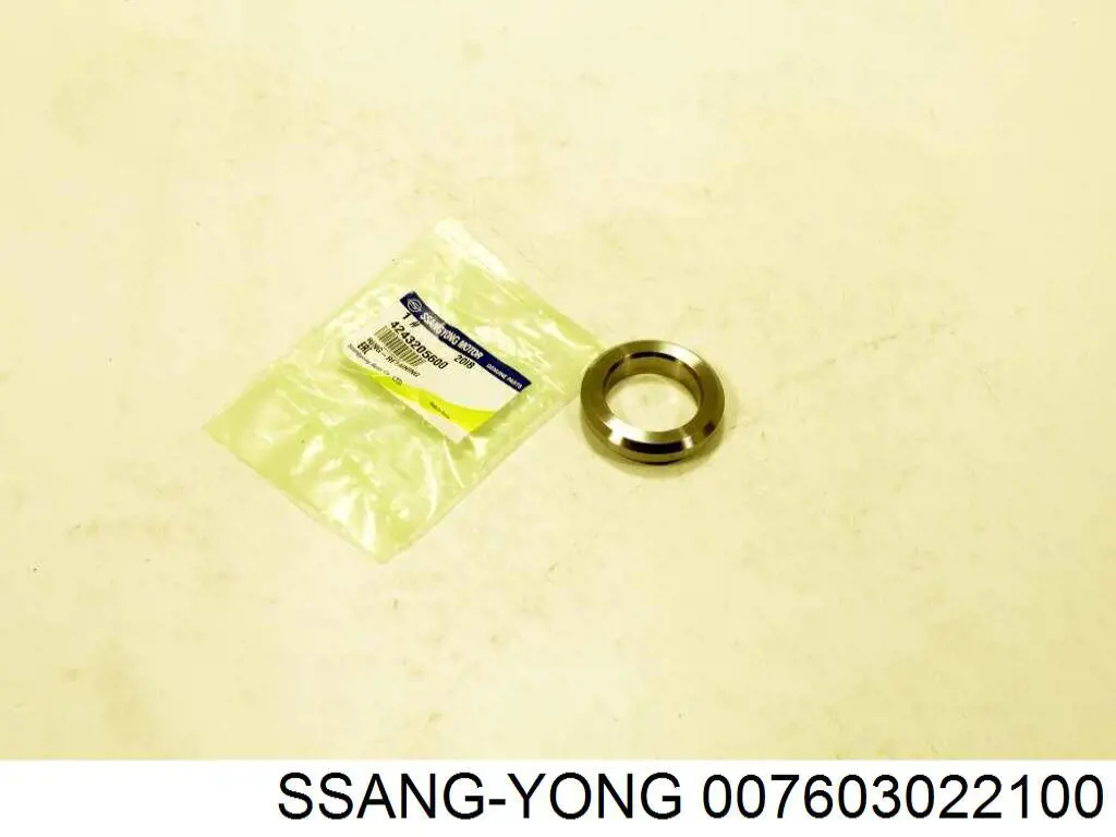Compre 007603022100 Ssang Yong Vedante de reguladora de tensão da cadeia do mecanismo de distribuição de gás