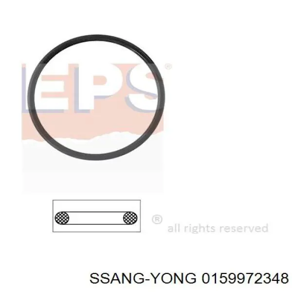 0159972348 Ssang Yong Vedante de termostato