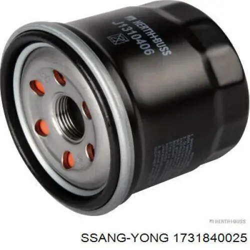 1731840025 Ssang Yong Filtro de óleo