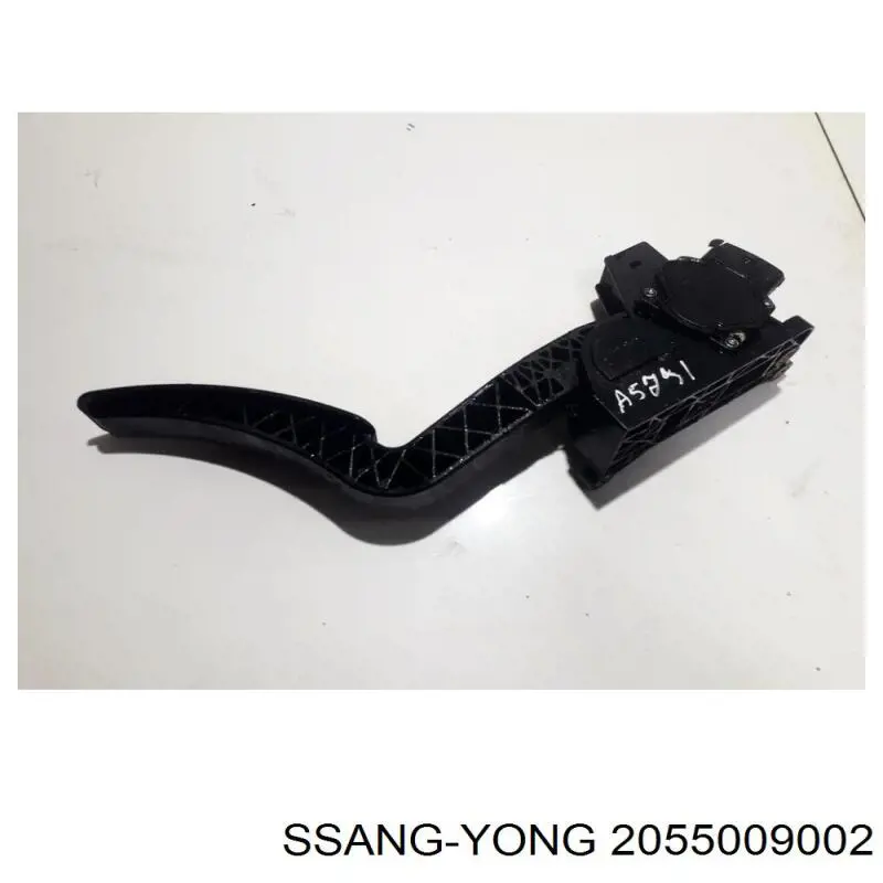 Compre 2055009002 Ssang Yong Pedal de gás (de acelerador)