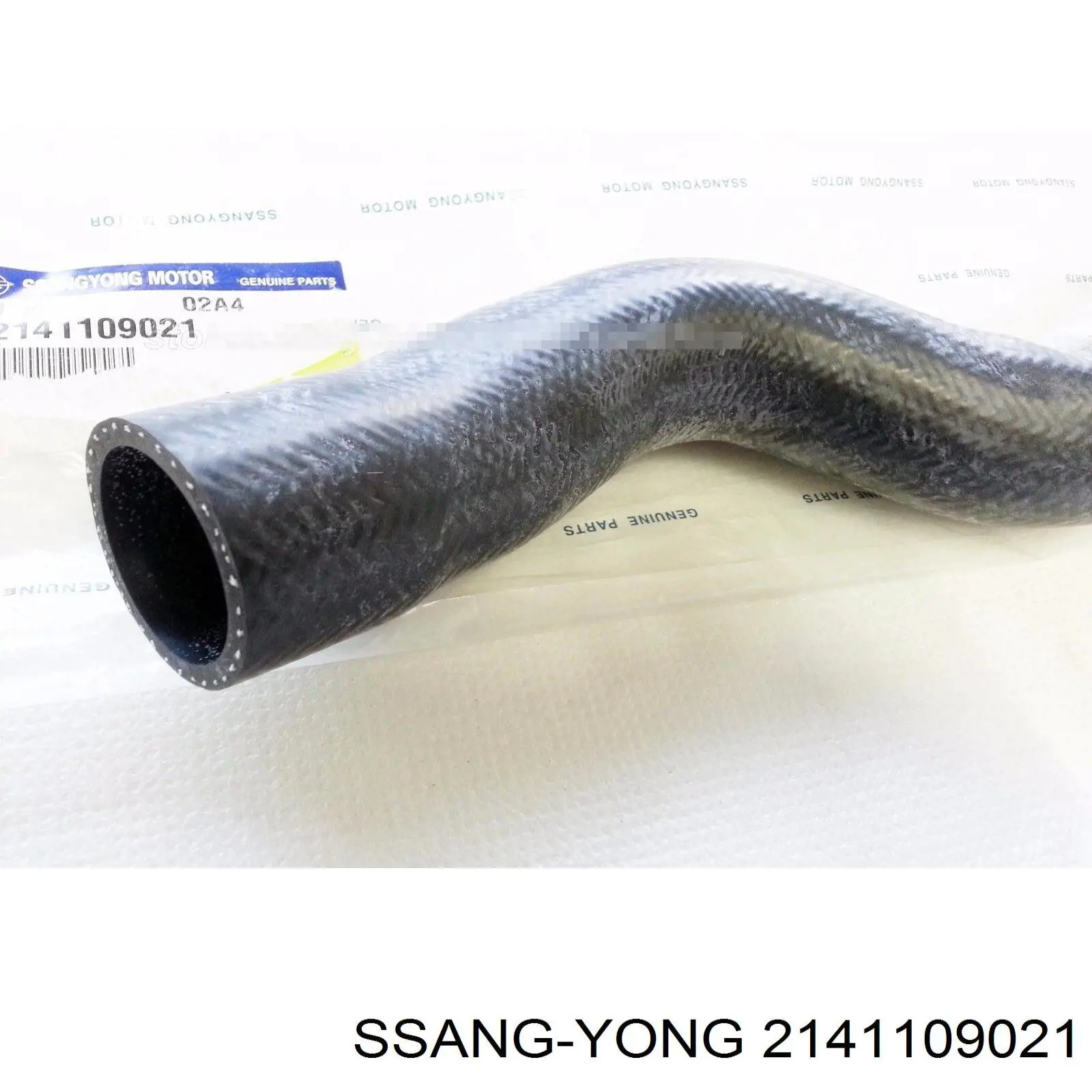 2141109020 Ssang Yong Mangueira (cano derivado) do radiador de esfriamento superior