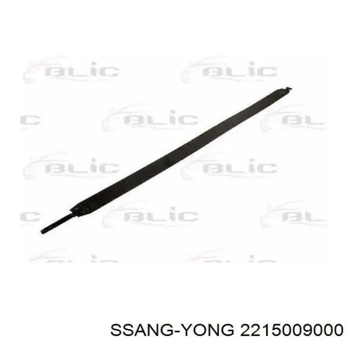 2215009000 Ssang Yong 