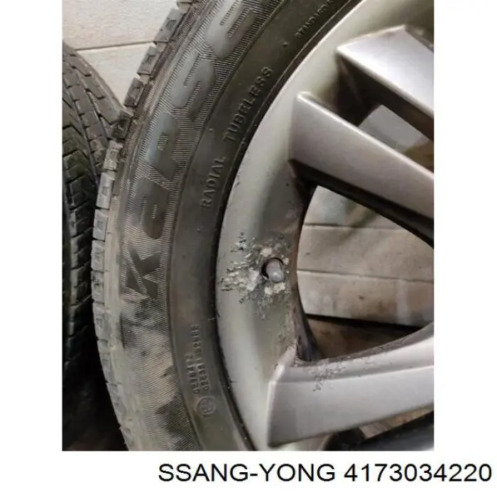 Discos de roda de aleação ligeira (de aleação ligeira, de titânio) Ssang Yong 4173034220 preço, a partir de 220,05 USD