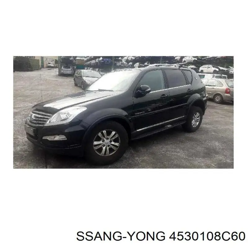 Compre 4530108C60 Ssang Yong Amortecedor traseiro