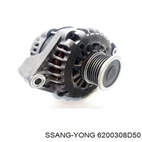  Porta dianteira esquerda SsangYong Rexton W I SUV (2012 - 2017) W I
