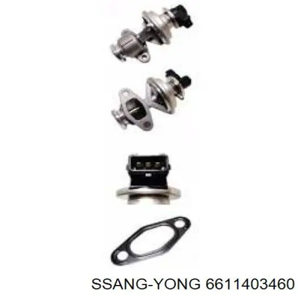 Compre 6611403460 Ssang Yong Válvula EGR de recirculação dos gases