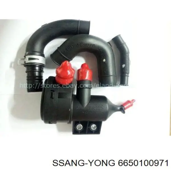 6650100971 Ssang Yong 