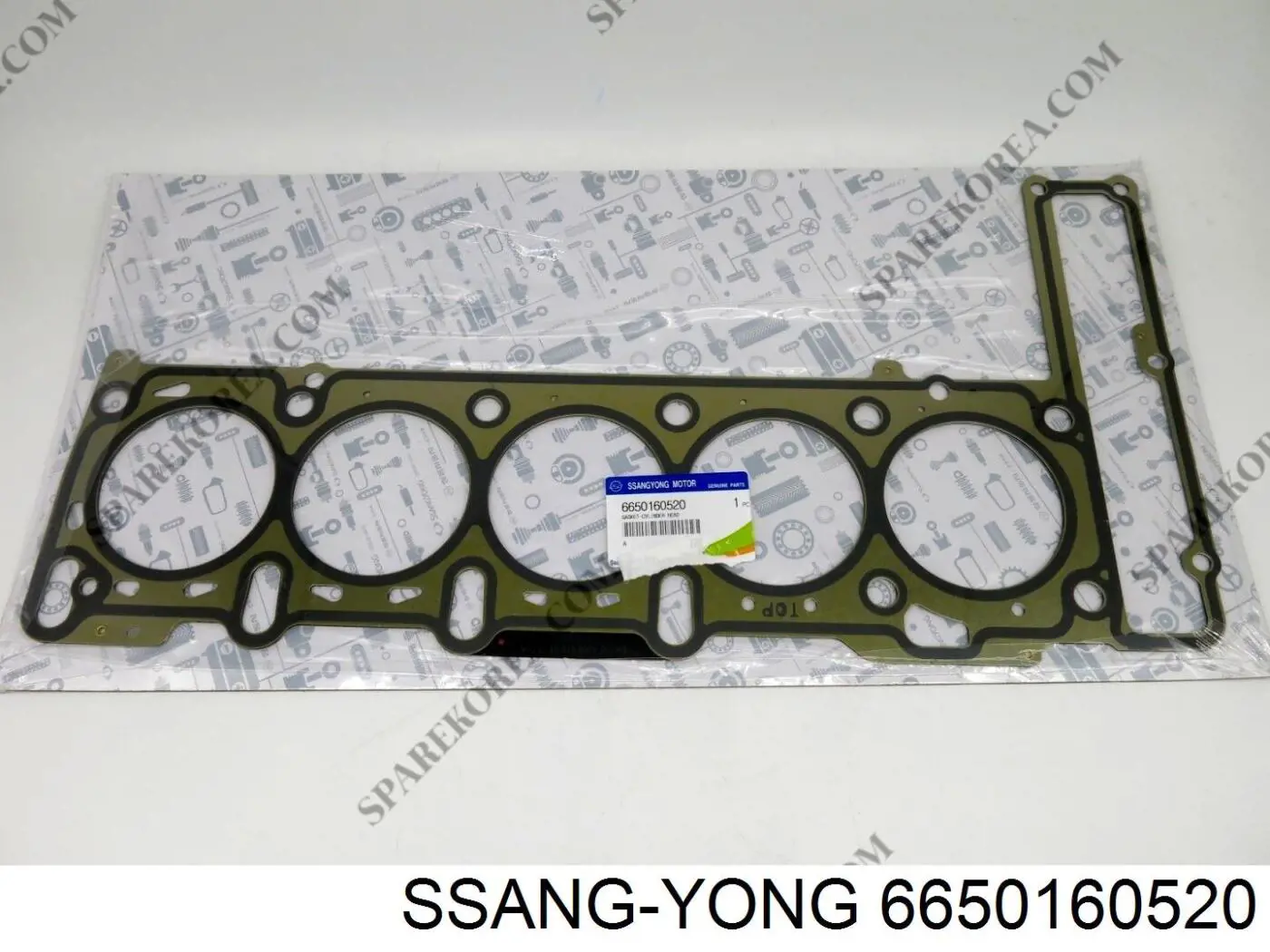 6650160520 Ssang Yong Vedante de cabeça de motor (CBC)
