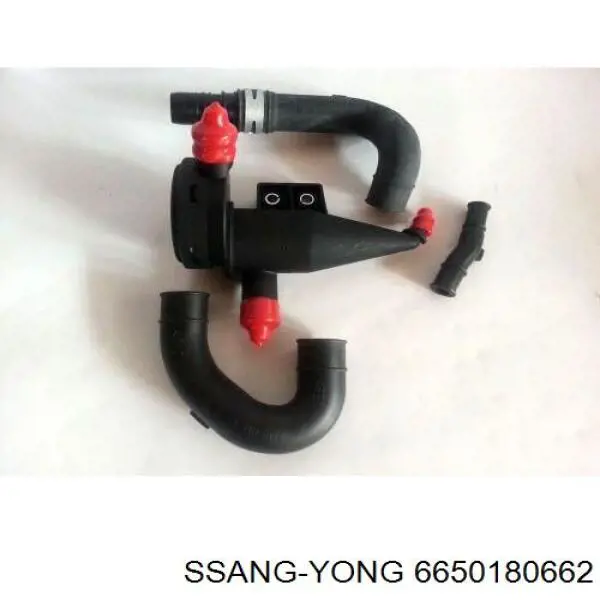6650180662 Ssang Yong 