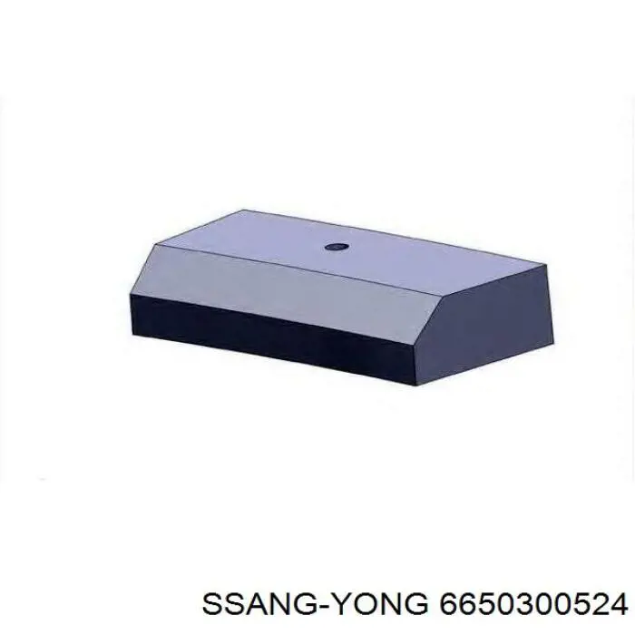 Compre 6650300124 Ssang Yong Anéis do pistão para 1 cilindro, STD.