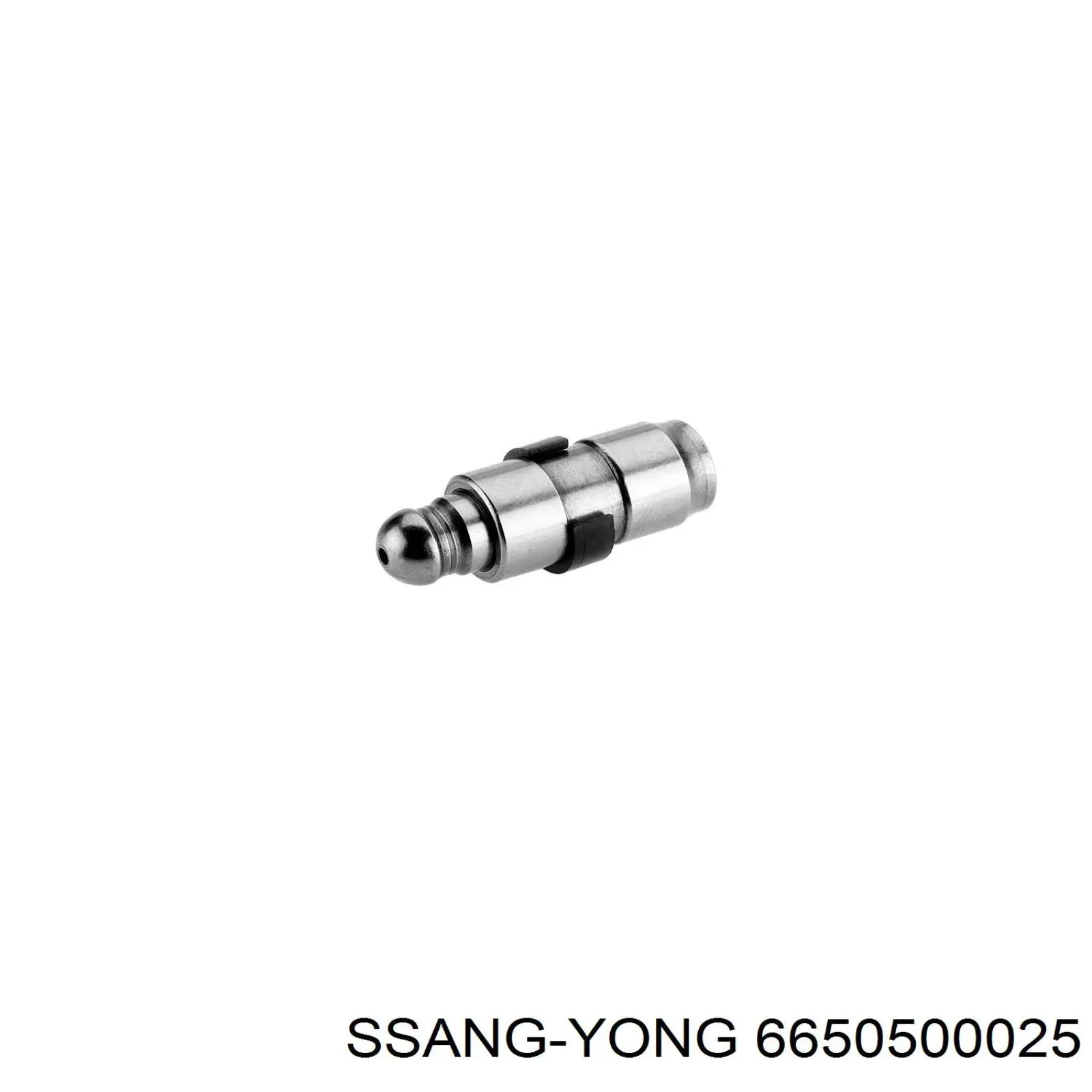 Compensador hidrâulico (empurrador hidrâulico), empurrador de válvulas Ssang Yong 6650500025 preço, a partir de 5,27 USD