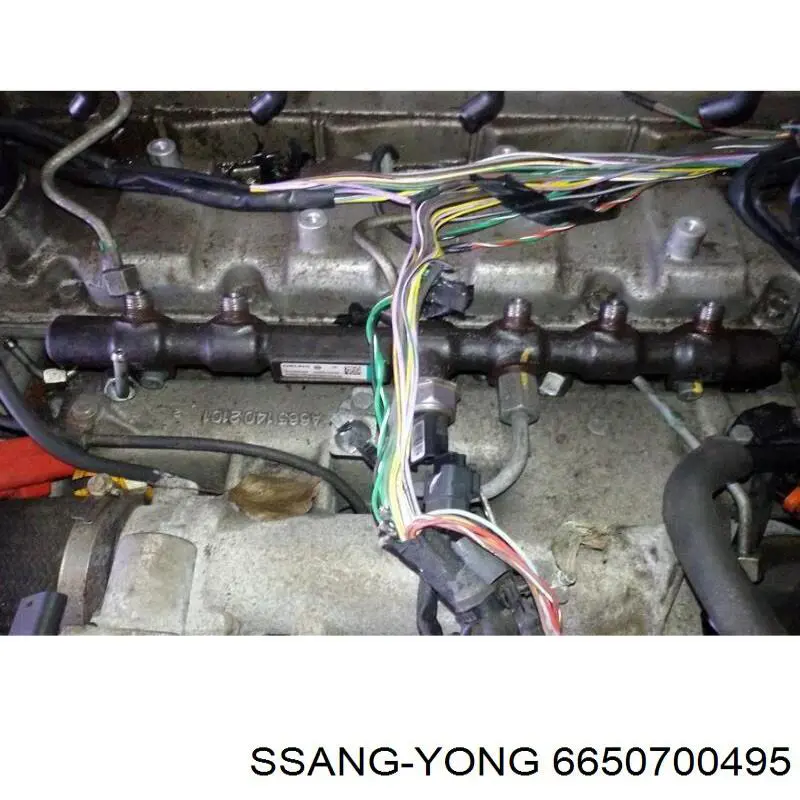 Distribuidor de combustível (rampa) Ssang Yong 6650700495 preço, a partir de 1052,69 USD