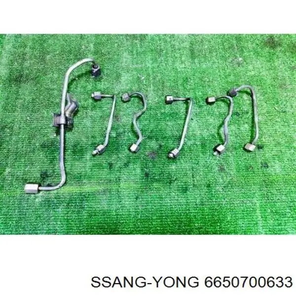 6650702433 Ssang Yong 