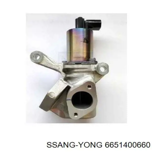 Válvula EGR de recirculação dos gases Ssang Yong 6651400660 preço, a partir de 231,22 USD