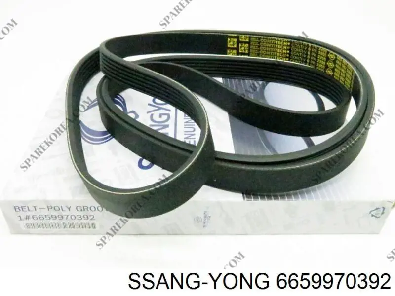 Correia dos conjuntos de transmissão Ssang Yong 6659970392 preço, a partir de 56,18 USD