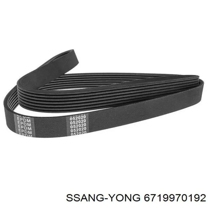 6719970192 Ssang Yong Correia dos conjuntos de transmissão