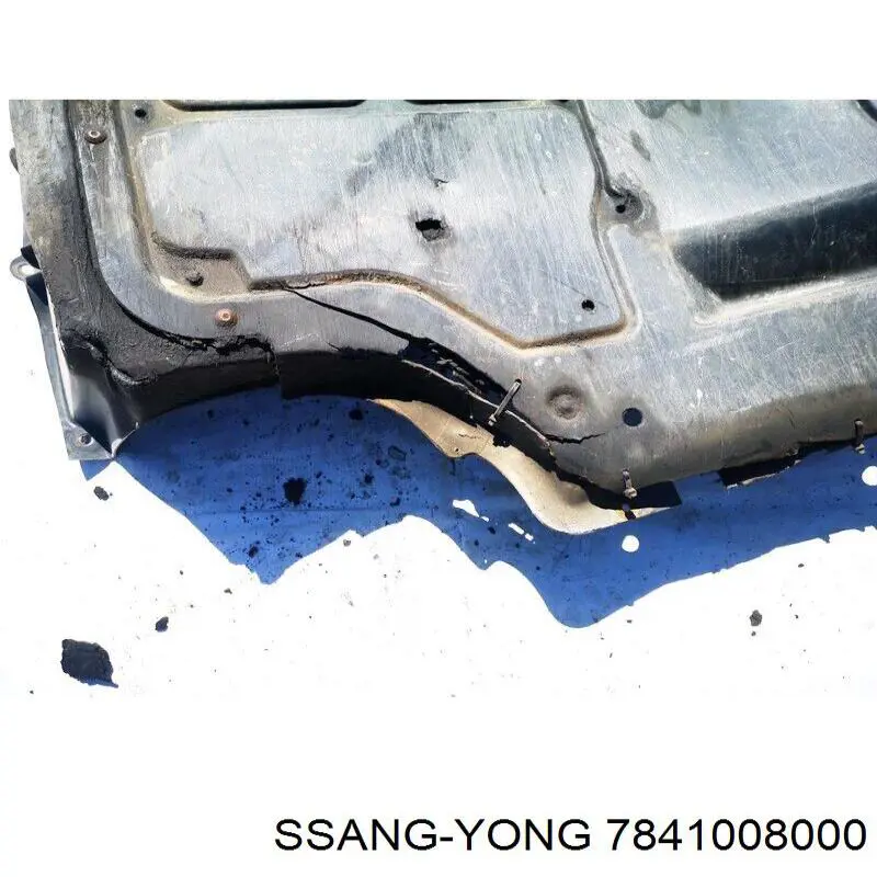  Tanque de fluido para lavador de vidro SsangYong Rexton I SUV (RJ) (2002 - 2006) I