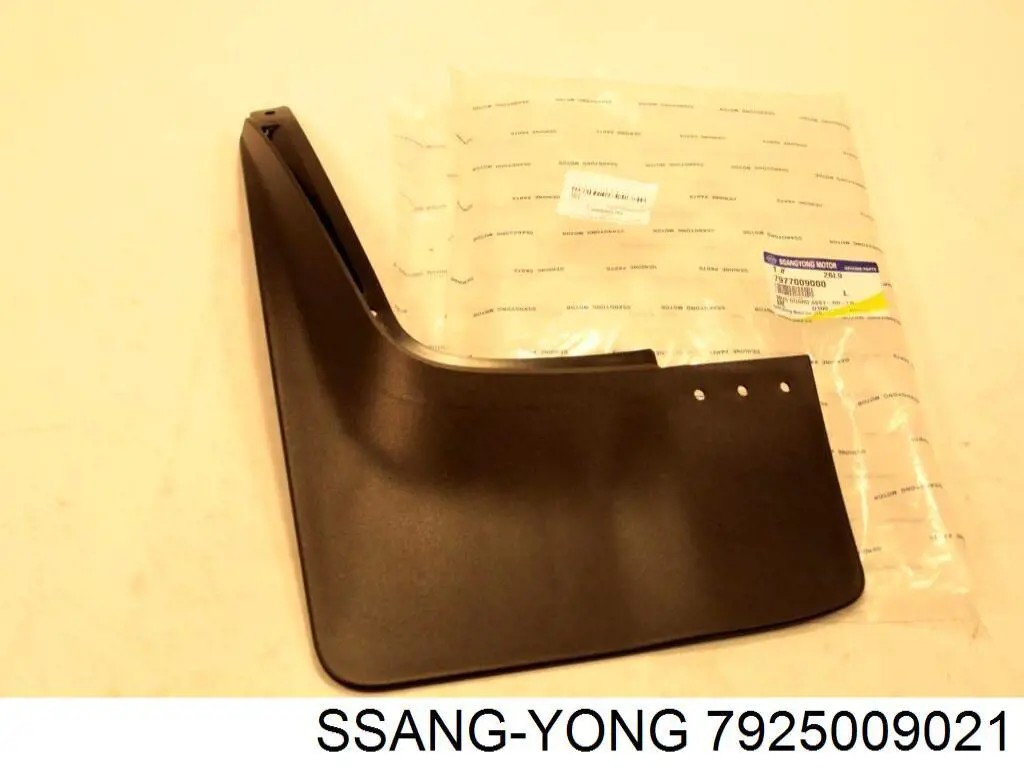 Vidro de carroçaria (da seção de bagagem) esquerdo Ssang Yong 7925009021 preço, a partir de  