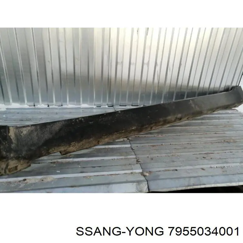 7955034001 Ssang Yong Placa sobreposta (moldura) externa esquerda de acesso