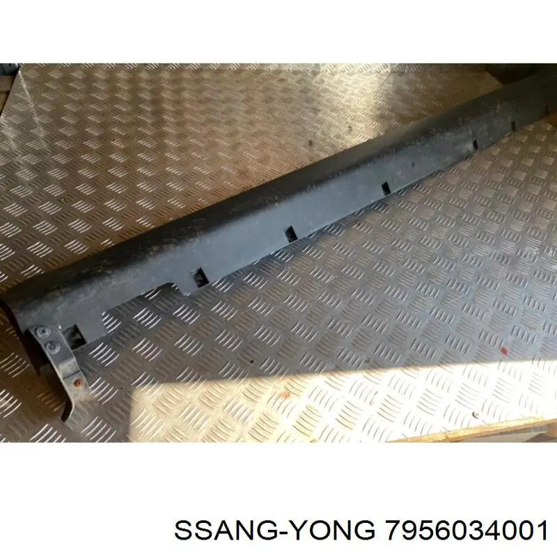 7956034001 Ssang Yong Placa sobreposta (moldura) externa direita de acesso