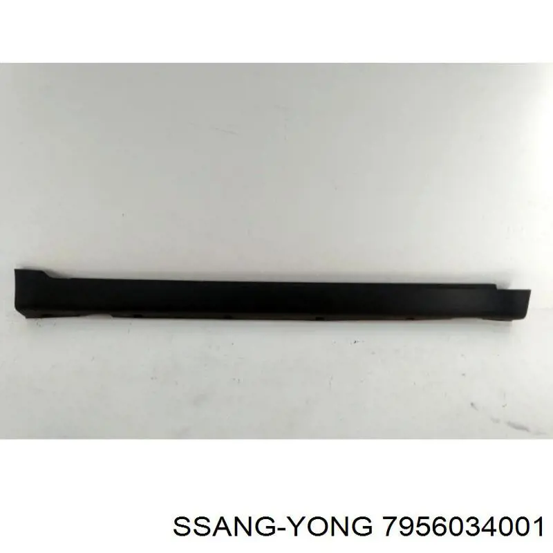 Placa sobreposta (moldura) externa direita de acesso Ssang Yong 7956034001 preço, a partir de 261,73 USD