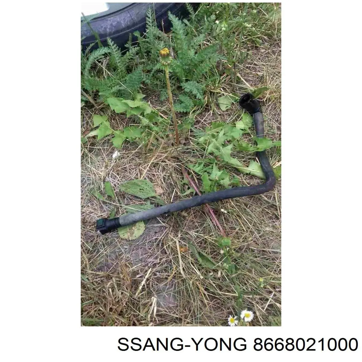 8668009000 Ssang Yong 