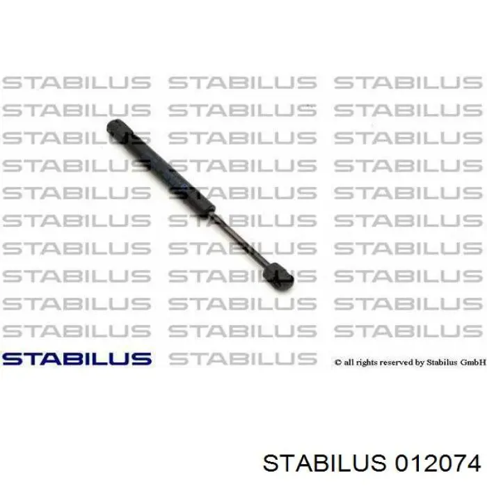 Compre 012074 Stabilus Amortecedor da capota