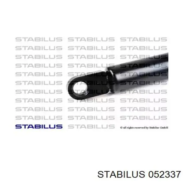 Amortecedor de tampa de porta-malas (de 3ª/5ª porta traseira) Magneti Marelli GS0011