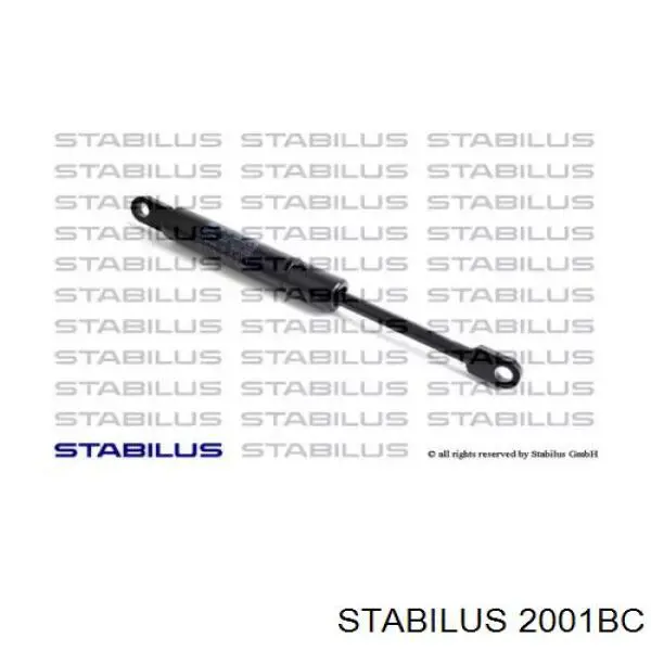 Compre ZS03066 Japan Parts Amortecedor de tampa de porta-malas (de 3ª/5ª porta traseira)