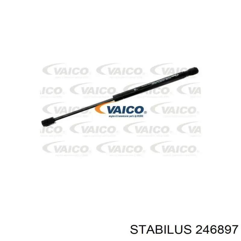 Amortecedor de tampa de porta-malas (de 3ª/5ª porta traseira) Jaguar C2Z21500