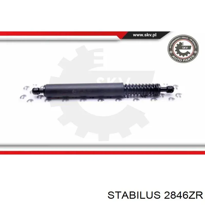 Compre 2846ZR Stabilus Amortecedor de tampa de porta-malas (de 3ª/5ª porta traseira)