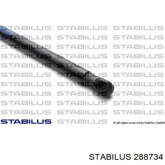 Compre 288734 Stabilus Amortecedor da capota