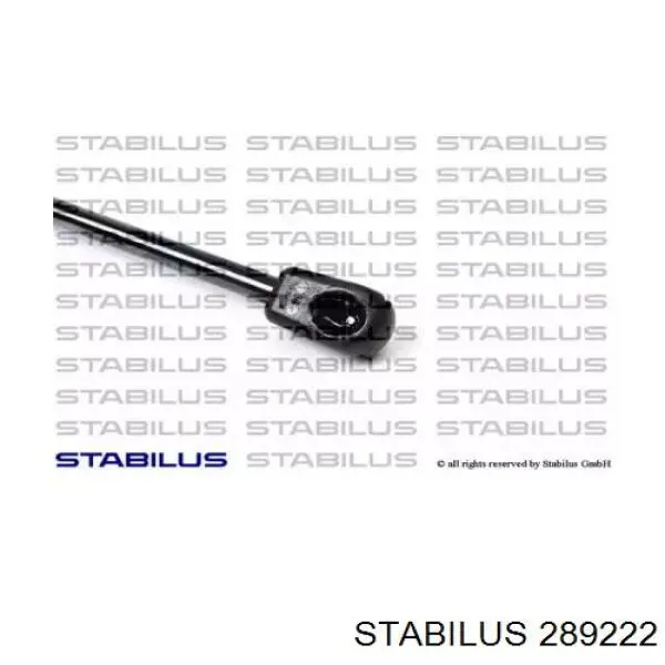 Amortecedor de tampa de porta-malas (de 3ª/5ª porta traseira) BMW 7318896 preço, a partir de 20,32 USD
