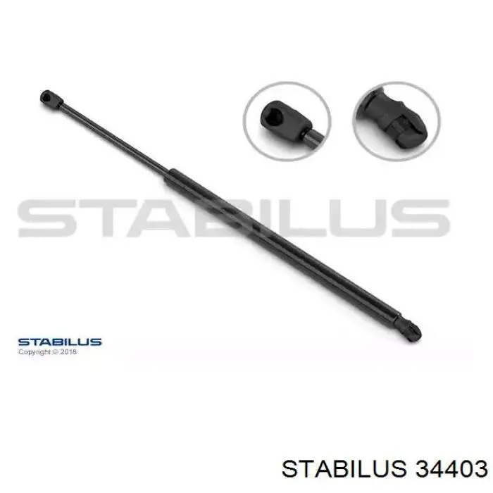 Amortecedor de tampa de porta-malas (de 3ª/5ª porta traseira) 7L5827550J VAG