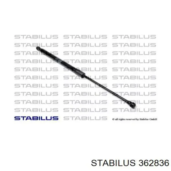 Compre 362836 Stabilus Amortecedor de tampa de porta-malas (de 3ª/5ª porta traseira)