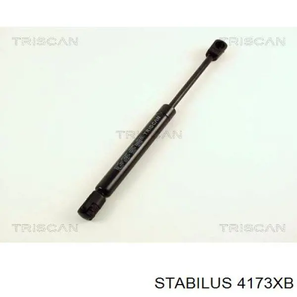 Amortecedor de tampa de porta-malas (de 3ª/5ª porta traseira) 4173XB Stabilus
